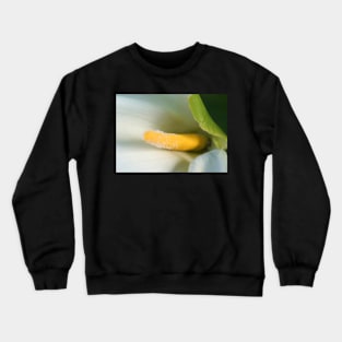 Calla Lilly Close-Up Crewneck Sweatshirt